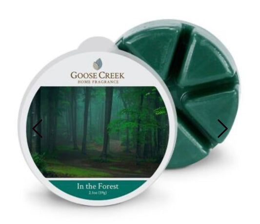 🍂🌲Fondants parfumés DANS LA FORÊT - Goose creek 59gr/50-80h