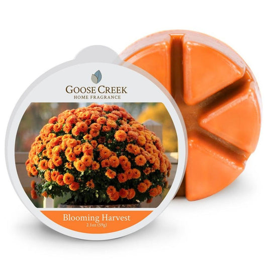 🍂 Fondant parfumé BLOOMING HARVEST - Goose creek 59gr/ 50-80h