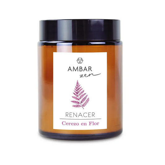 Ambar - bougie fleur de cerisier